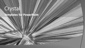  Presentation with black white tree - Presentation design featuring closeup on tropical palm tree leaf texture in black and white background and a gray colored foreground