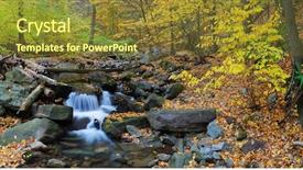  Presentation with multicolored autumn leaves orange yellow red - Theme with closeup panorama with yellow maple background and a tawny brown colored foreground