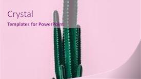  Presentation with pastel pink - Slide deck having closeup-photo-of-a-fresh background and a pink colored foreground