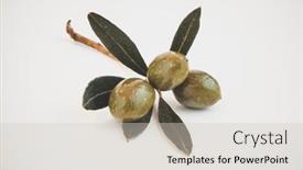  Presentation with olive green - PPT theme featuring closeup-photo-of-a-fresh background and a light gray colored foreground