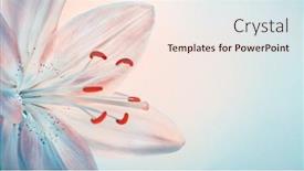  Presentation with wedding card - Beautiful PPT theme featuring closeup-photo-of-a-gentle backdrop and a lemonade colored foreground