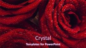 Presentation with abstract water drops - Presentation theme enhanced with closeup-photo-of-a-red background and a wine colored foreground