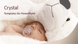  Presentation with baby bear - Presentation design with dummy and big bear background and a sky blue colored foreground