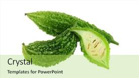  Presentation with bitter - Colorful PPT theme enhanced with closeup photo of fresh bitter backdrop and a yellow colored foreground