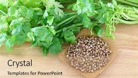  Presentation with photo - Cool new theme with closeup photo of fresh coriander cilantro and a bowl of seeds backdrop and a coral colored foreground