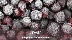  Presentation with currant - Presentation theme featuring photo of frozen berries black background and a gray colored foreground