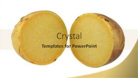 Presentation with photo - PPT layouts consisting of closeup-photo-of-turnip-known background and a yellow colored foreground