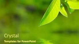  Presentation with rich - Cool new presentation with closeup-picture-of-rich-foliage backdrop and a tawny brown colored foreground