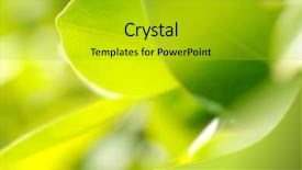  Presentation with rich - Amazing slide deck having closeup picture of rich foliage backdrop and a gold colored foreground