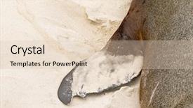  Presentation with kangaroo - PPT theme with closeup shot of australian sea background and a lemonade colored foreground