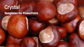  Presentation with close up shot - Colorful theme enhanced with closeup shot of chestnut pile backdrop and a  colored foreground
