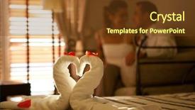  Presentation with shot - Slides with closeup shot of swans made background and a tawny brown colored foreground