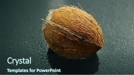  Presentation with coconut shell - Beautiful presentation featuring closeup shot of whole unpeeled backdrop and a tawny brown colored foreground