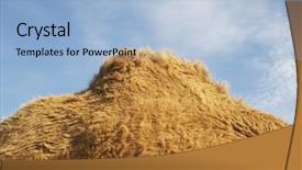  Presentation with camel - PPT theme with closeup-side-view-of-cropped background and a light blue colored foreground