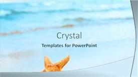  Presentation with shell - Beautiful slide deck featuring closeup star shell backdrop and a cool aqua colored foreground