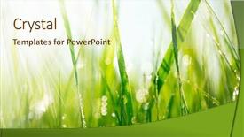  Presentation with soft focus abstract nature - Slide deck having closeup sun soft focus abstract background and a cream colored foreground