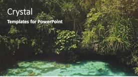  Presentation with water color - Amazing theme having closeup-tropic-trees-leaves-over backdrop and a tawny brown colored foreground