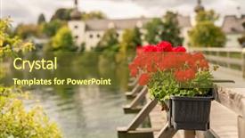  Presentation with flower pots - Audience pleasing presentation consisting of closeup view of black flower backdrop and a  colored foreground