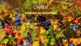  Presentation with bunch - Presentation enhanced with closeup-view-of-the-bunch background and a tawny brown colored foreground