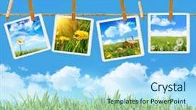  Presentation with tall - Beautiful slides featuring clothes peg - tall grass with 4 pictures backdrop and a  colored foreground