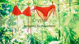  Presentation with eco friendly - Audience pleasing slides consisting of clothing-drying-on-clothesline-outside backdrop and a mint green colored foreground