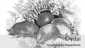  Presentation with engraving - Slide deck consisting of clothing engraving from the penny background and a  colored foreground