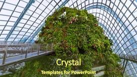  Presentation with cloud - Audience pleasing presentation consisting of cloud forest dome at gardens backdrop and a tawny brown colored foreground