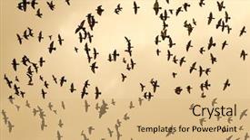  Presentation with migration - Amazing slide deck having cloud migration - fine image of lots backdrop and a coral colored foreground