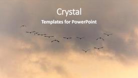  Presentation with birds flying - Beautiful slides featuring cloud migration - flock of birds flying backdrop and a gray colored foreground