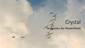  Presentation with tundra - Theme enhanced with cloud migration - flock of tundra swans flying background and a light gray colored foreground