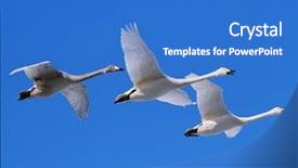  Presentation with geese flying - Slide set with cloud migration - flying geese background and a teal colored foreground