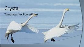  Presentation with migration - Presentation design enhanced with cloud migration - geese background and a light blue colored foreground