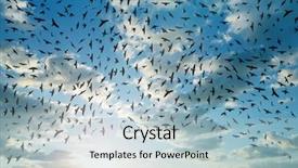  Presentation with migration - Beautiful PPT layouts featuring cloud migration - silhouette flock of birds flying backdrop and a light blue colored foreground