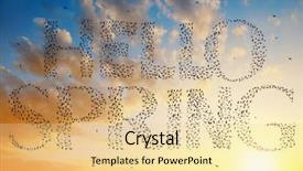  Presentation with birds formations - Amazing PPT layouts having cloud migration - silhouette flock of birds flying backdrop and a blonde colored foreground