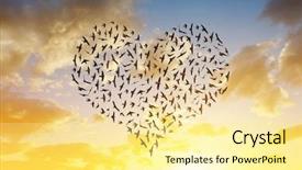  Presentation with birds flying - PPT layouts enhanced with cloud migration - silhouette of birds flying background and a blonde colored foreground