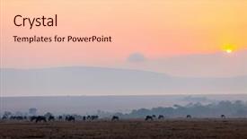  Presentation with grossmmotor early childhood - Presentation theme having cloud migration - wildebeests early morning in masai background and a lemonade colored foreground