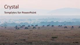  Presentation with early childhood development - Audience pleasing PPT layouts consisting of cloud migration - wildebeests early morning in masai backdrop and a sky blue colored foreground
