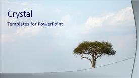  Presentation with tree and roots - Audience pleasing slide set consisting of cloud migration - wildebeests under acacia tree backdrop and a sky blue colored foreground