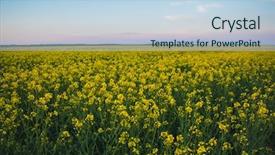  Presentation with sun rising over north america - Cool new PPT theme with cloud over the rape field backdrop and a light blue colored foreground