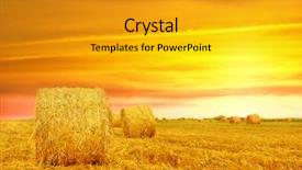  Presentation with hay field - Colorful PPT theme enhanced with housing free - senior black couple standing outside backdrop and a coral colored foreground.