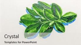  Presentation with abstract watercolor - Colorful PPT theme enhanced with clouded yellow butterfly - abstract green plant painted backdrop and a sky blue colored foreground