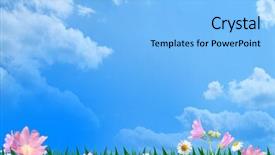  Presentation with beautiful green - Amazing presentation having clouded yellow butterfly - beautiful flowers in the green backdrop and a light blue colored foreground