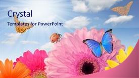  Presentation with ladybugs - PPT layouts consisting of clouded yellow butterfly - colorful gerberas with butterflies background and a sky blue colored foreground