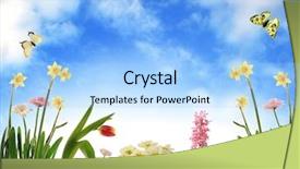  Presentation with scenery - Presentation theme enhanced with clouded yellow butterfly - garden scenery photoillustration background and a light blue colored foreground