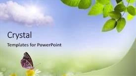  Presentation with spring nature grass - Colorful presentation theme enhanced with clouded yellow butterfly - spring or summer season abstract backdrop and a light blue colored foreground