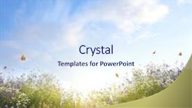  Presentation with summer - Colorful PPT theme enhanced with clouded yellow butterfly - summer landscape backdrop and a sky blue colored foreground