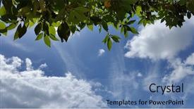  Presentation with green foliage - Cool new PPT layouts with clouds and leaf foliage silhouette backdrop and a  colored foreground