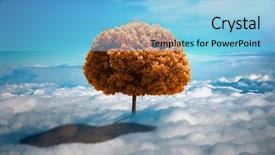  Presentation with growing tree - Amazing slide deck having clouds ecological concept photo manipulation backdrop and a light blue colored foreground