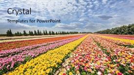  Presentation with gaza - Slide deck consisting of clouds spring flowering buttercups background and a light blue colored foreground