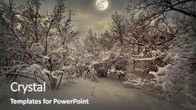  Presentation with night stars - Cool new theme with clouds stars - moonlight night in winter wood backdrop and a gray colored foreground